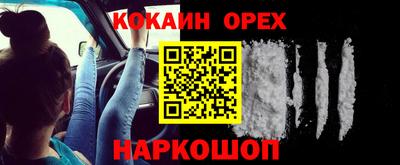 крисы Нальчик