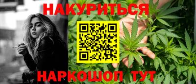 крисы Нальчик